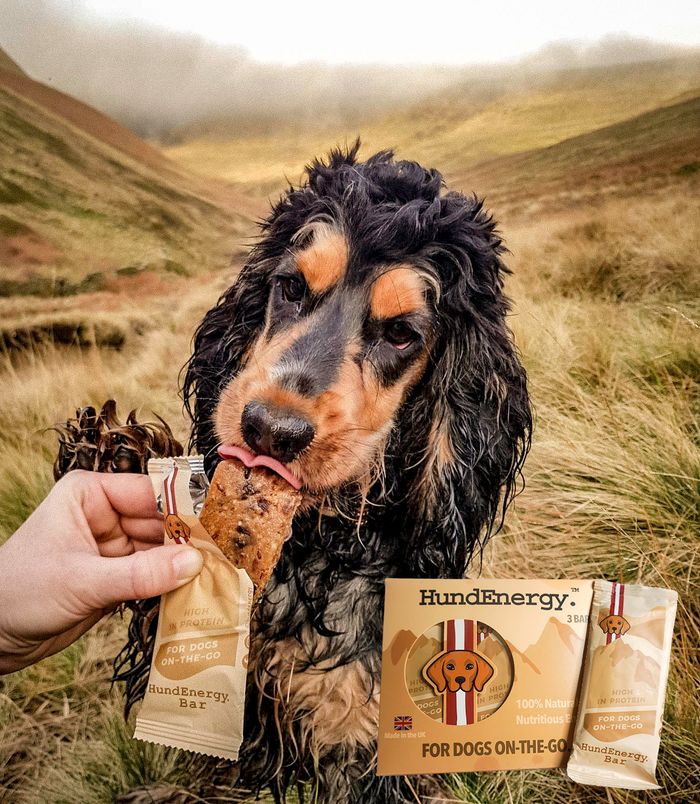 Peanut Power for your Pooch.